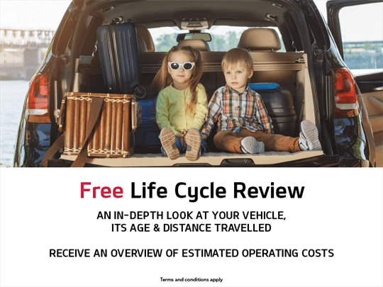 Free Life Cycle Review